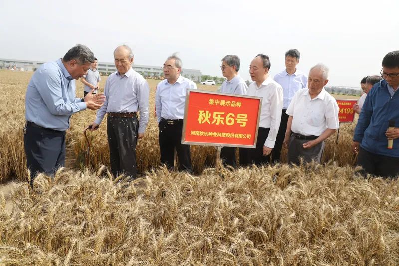 “院士中原科技行”首开新乡站，六位院士把脉“中原农谷”建设