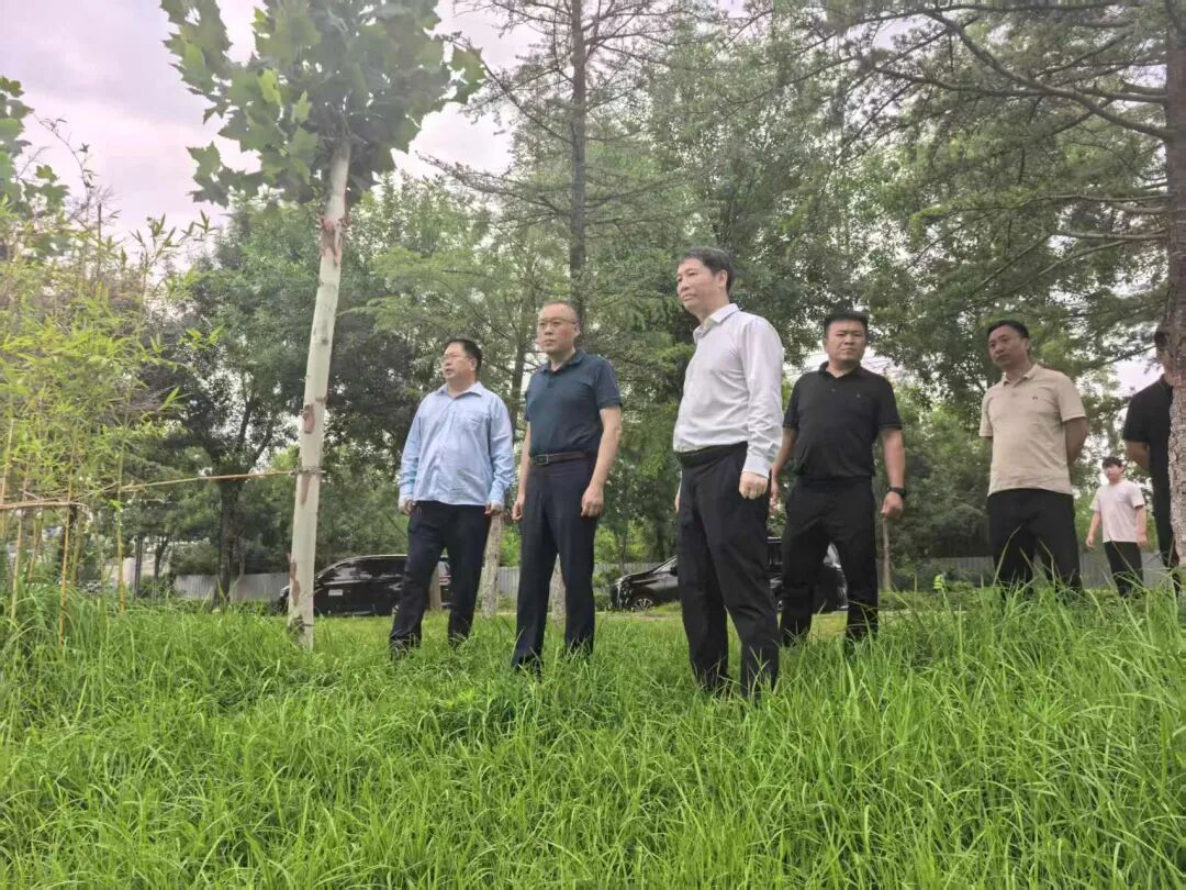 示范区党工委副书记、管委会副主任冯克润带队督导调研城区防汛工作