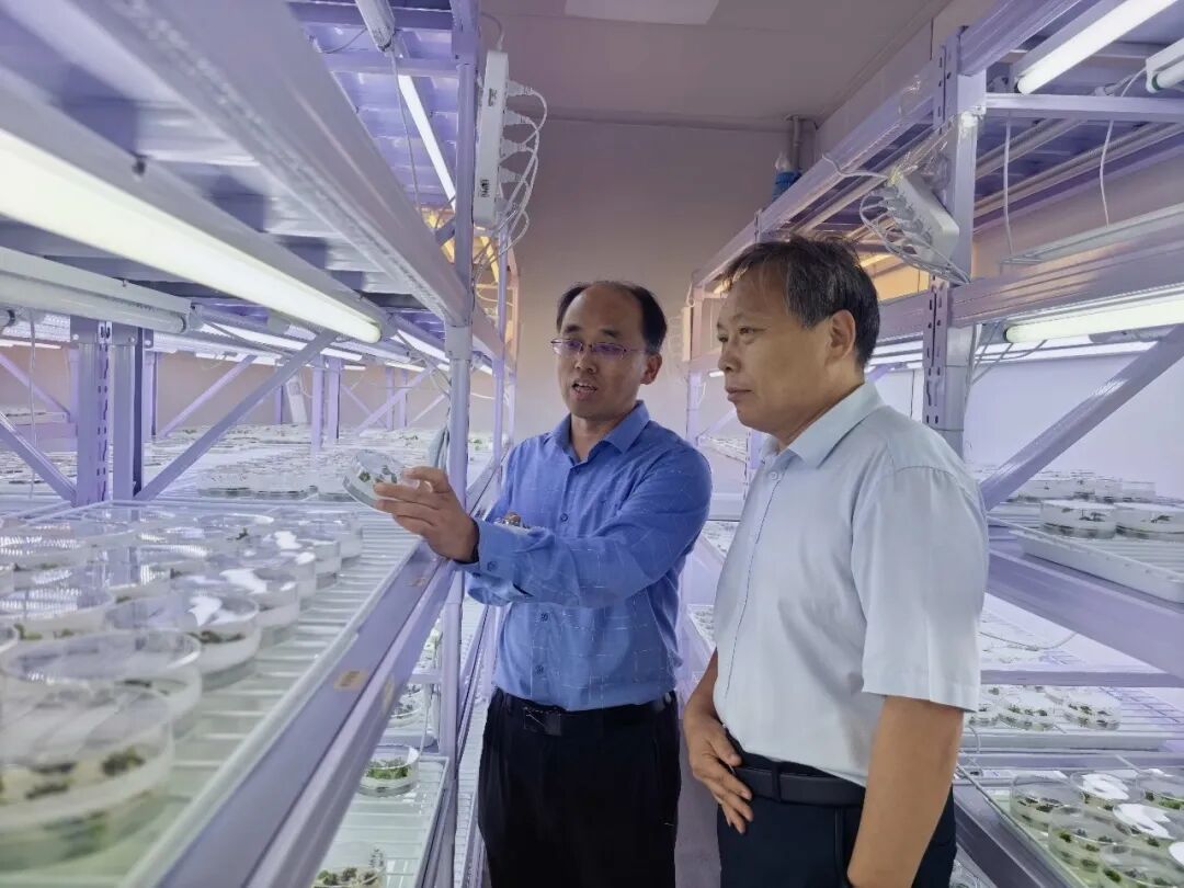 杨海峰带队赴吉林省考察