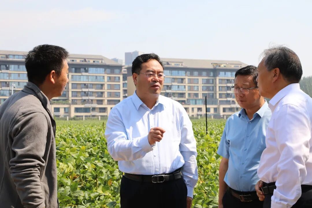 新乡市政府副市长祝显成调研中原农谷重点项目建设工作